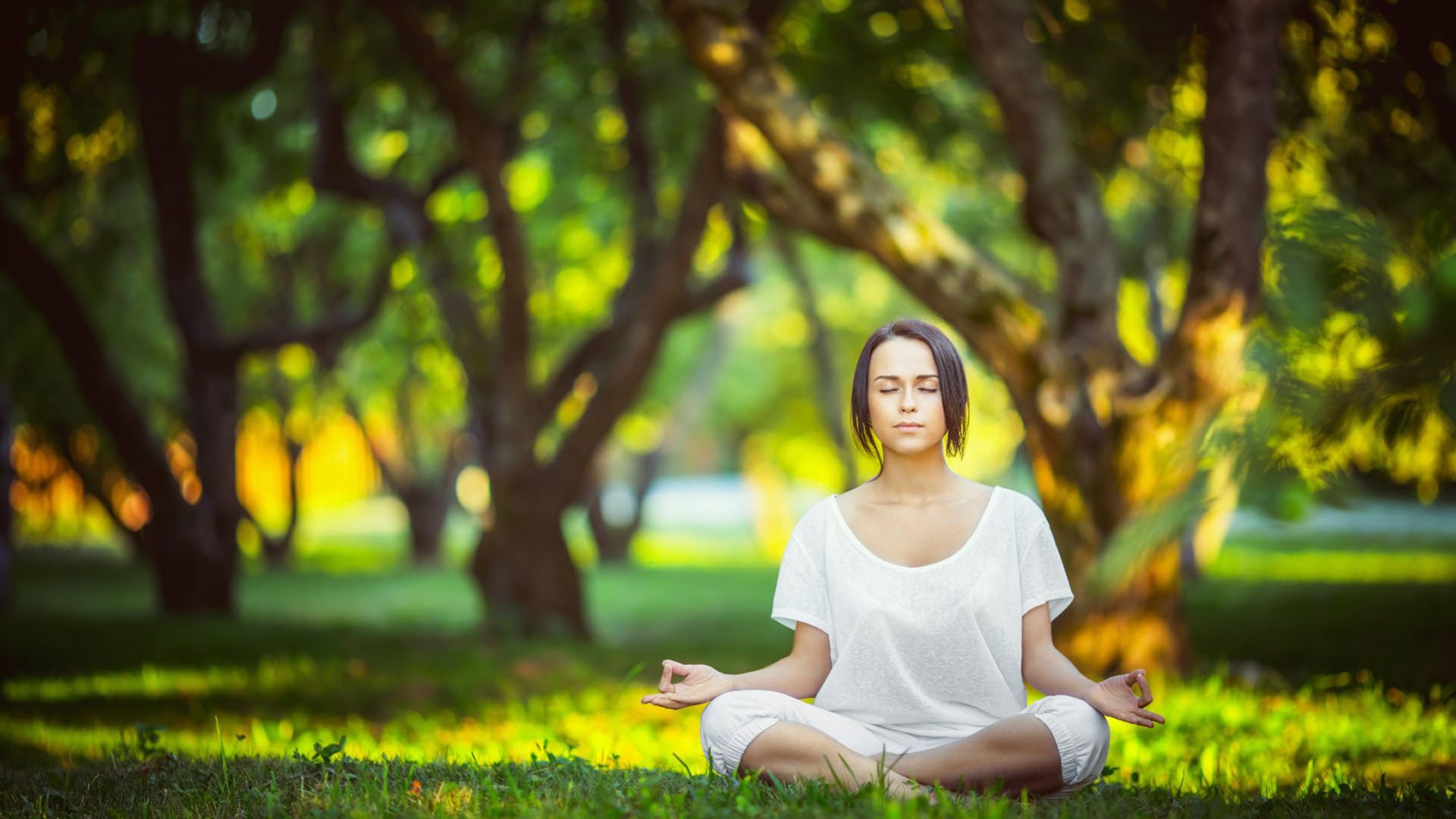 宿命对决中的唯一答案，2026世界杯H组，瑞士如何用碾压式智慧击碎突尼斯，哈基米闪耀的不只是天赋